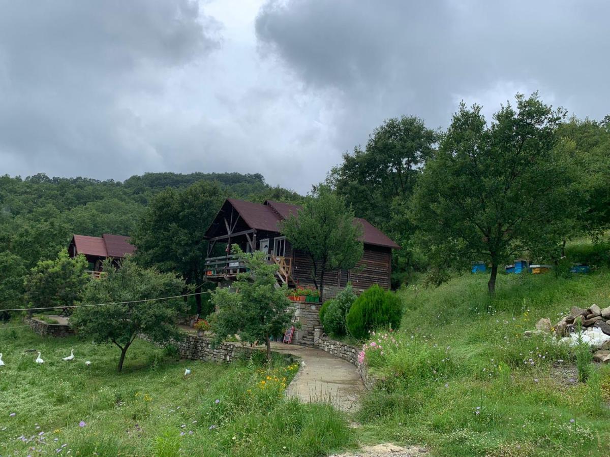 Willa Origjina Farm Përmet Zewnętrze zdjęcie