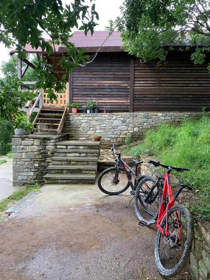 Willa Origjina Farm Përmet Zewnętrze zdjęcie